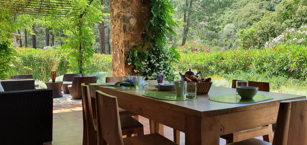Domaine Codaleone Serriera  Zewnętrze zdjęcie